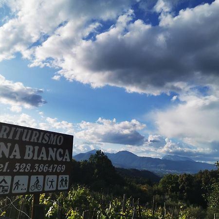 Agriturismo Donna Bianca Mormanno Εξωτερικό φωτογραφία