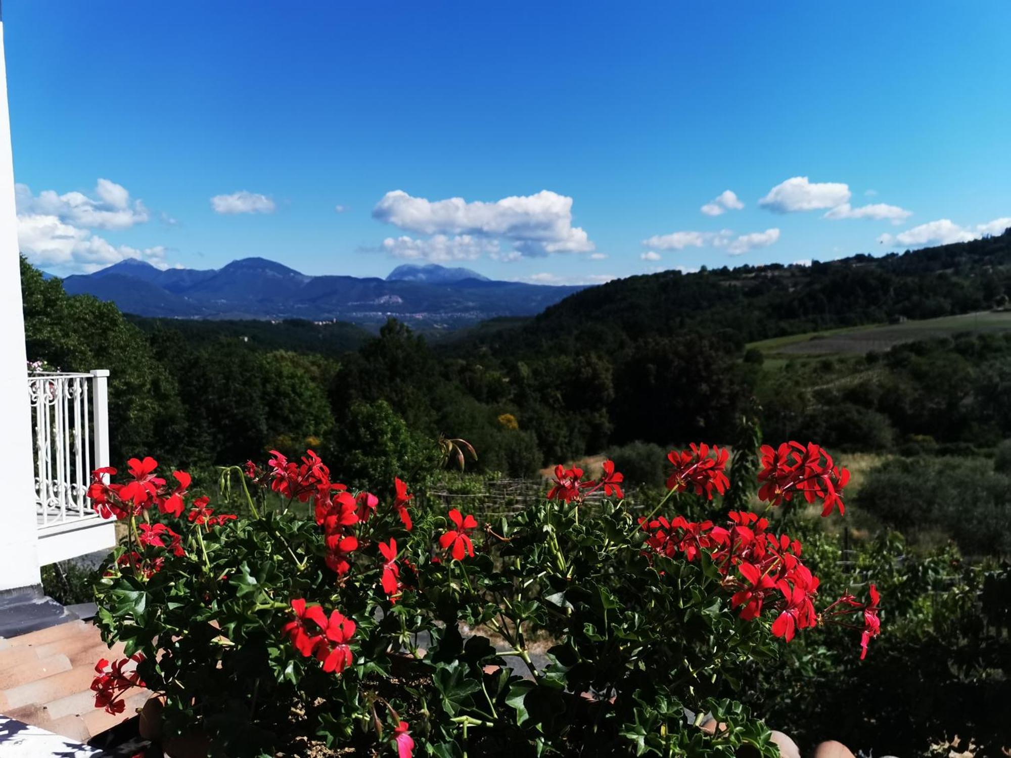 Agriturismo Donna Bianca Mormanno Εξωτερικό φωτογραφία