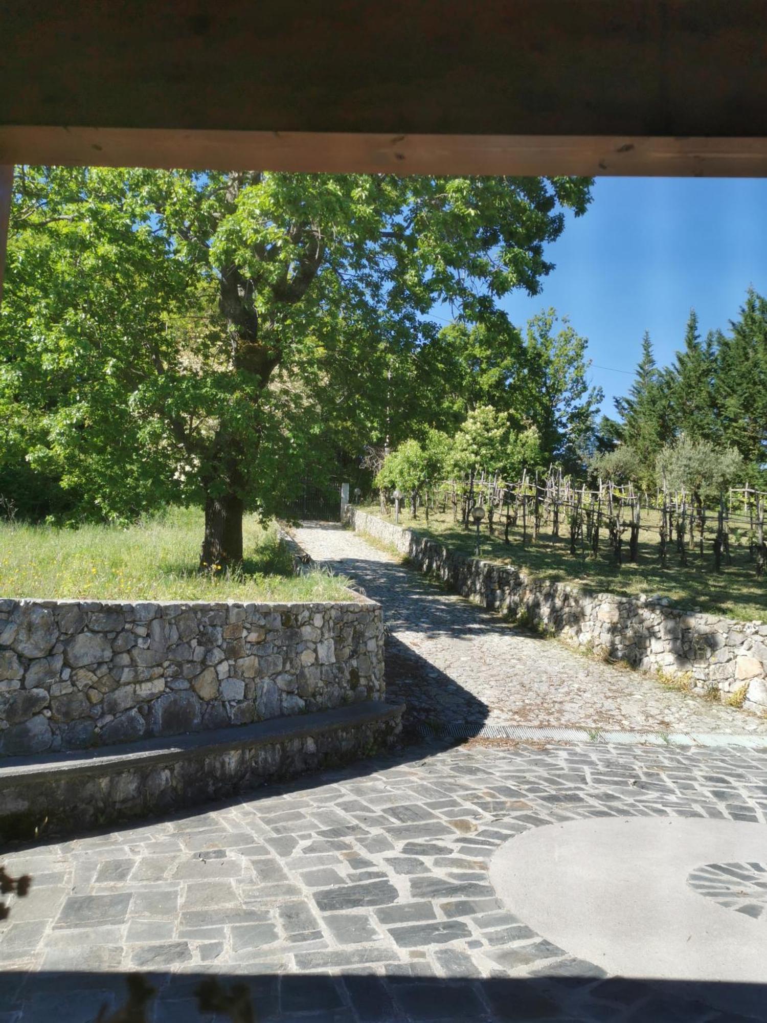 Agriturismo Donna Bianca Mormanno Εξωτερικό φωτογραφία