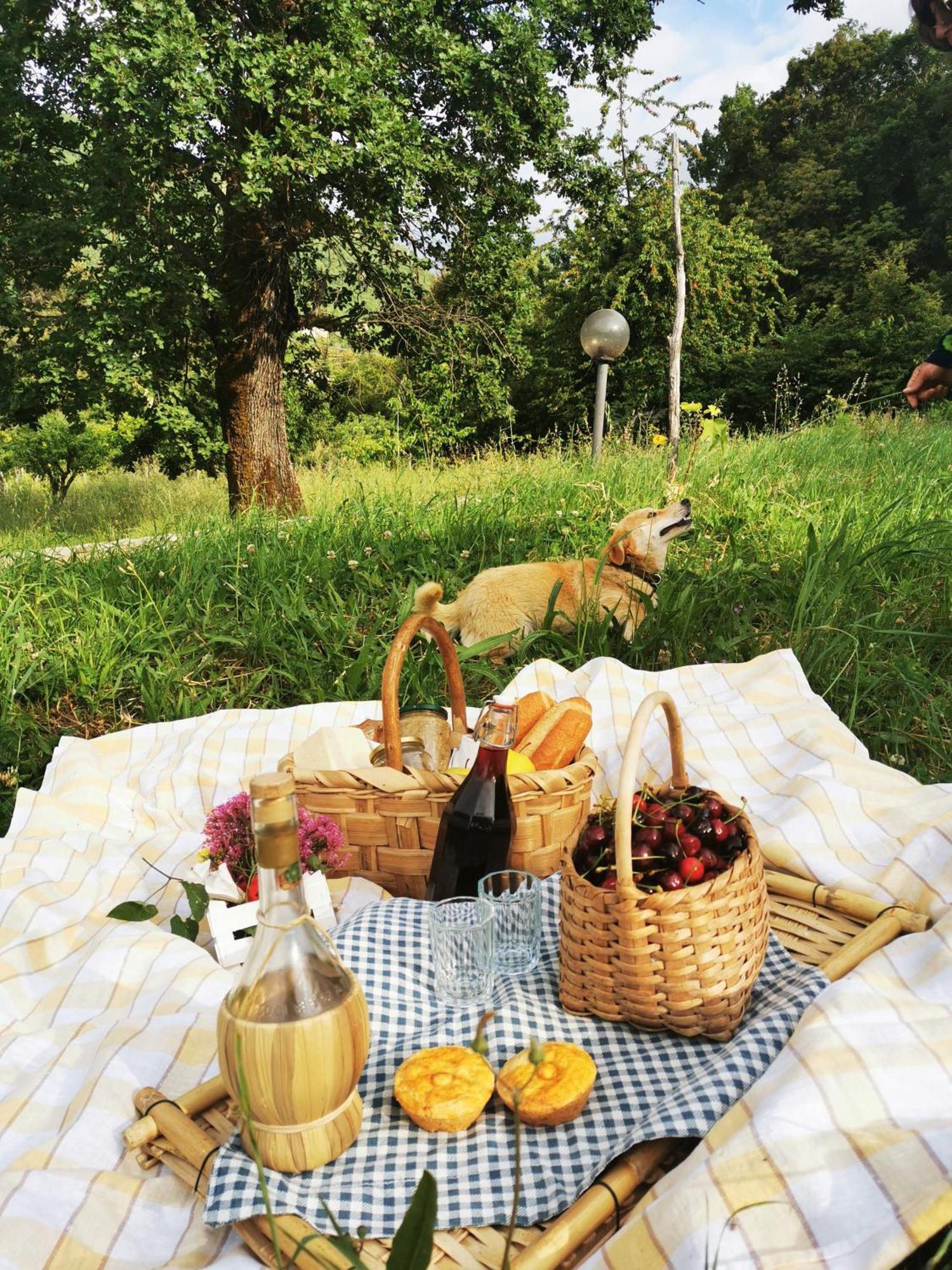 Agriturismo Donna Bianca Mormanno Εξωτερικό φωτογραφία
