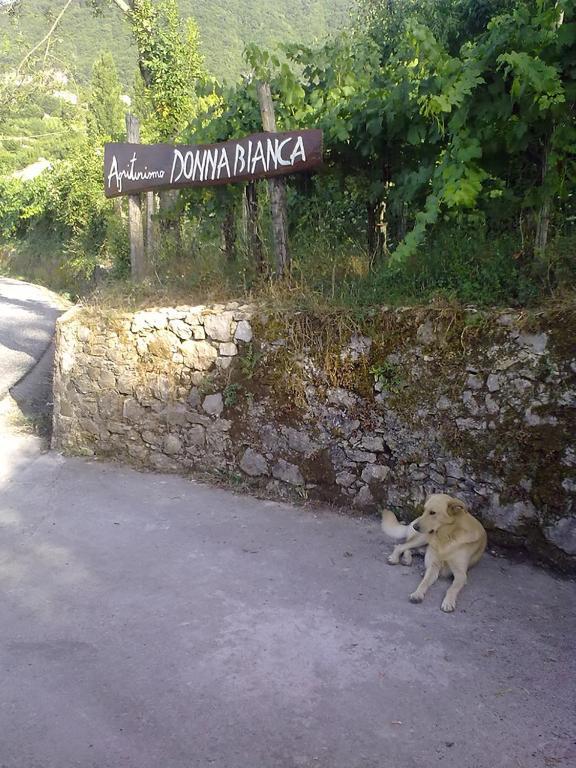 Agriturismo Donna Bianca Mormanno Εξωτερικό φωτογραφία